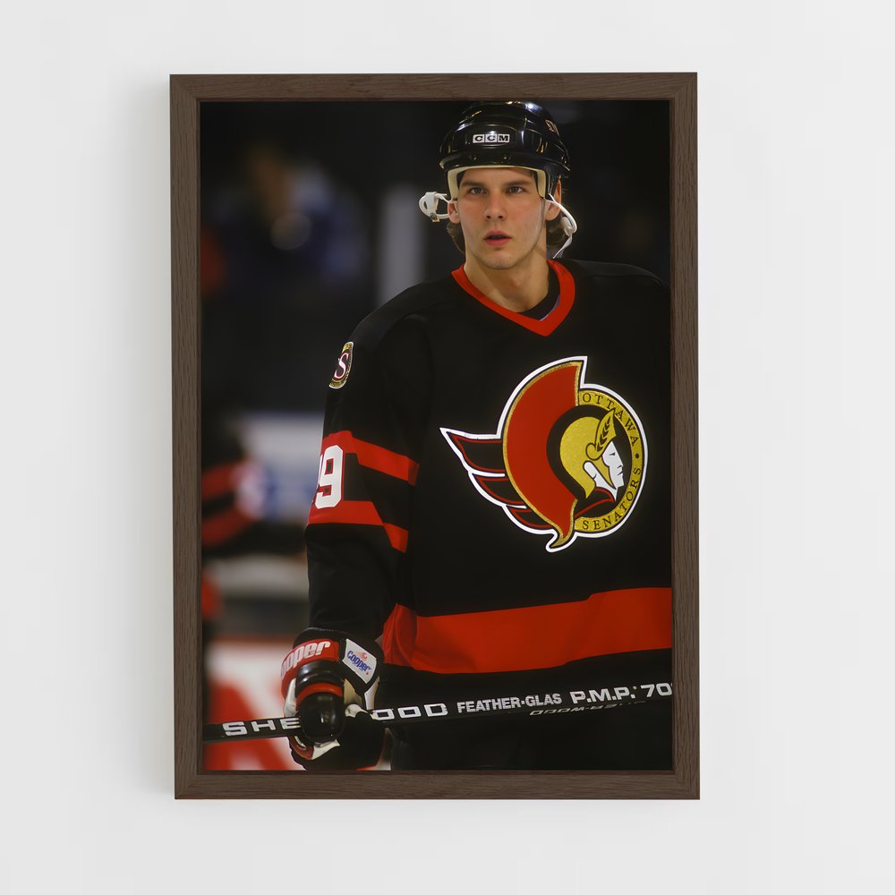 Poster Ottawa de senators – affiche Hockey sur glace (vue 5)